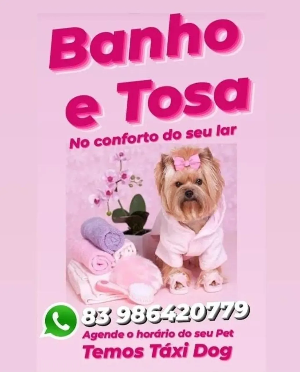 Banho e Tosa em Domicílio - Agende Já!