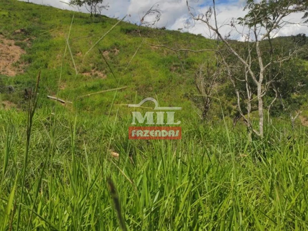 Fazenda de 100 alqueires (484 hectares) em Pires do Rio - GO