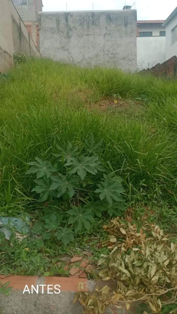 Roçamos lotes e terrenos - orçamento sem compromisso 