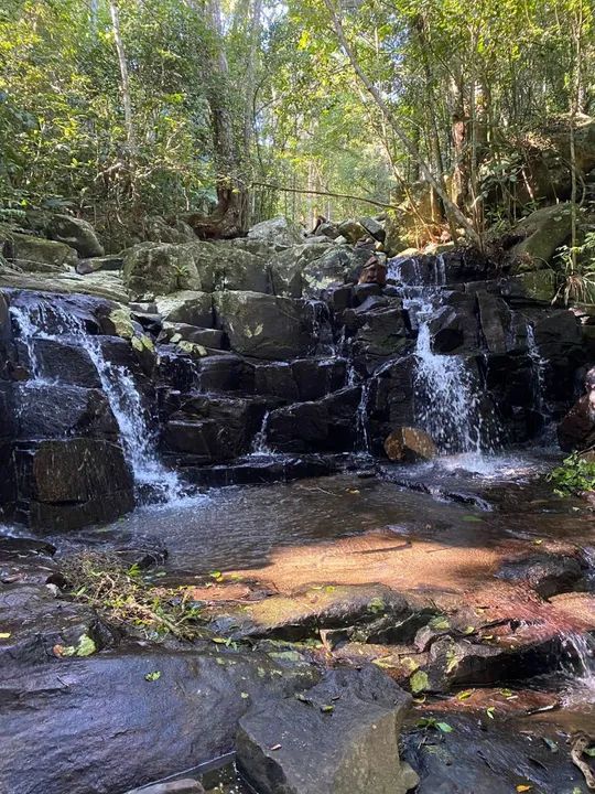Lindo sítio ( 50m asfalto)com  cachoeiras em Vargem Grande  - Foto 3