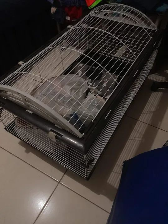 Gaiola de luxo  - Foto 3