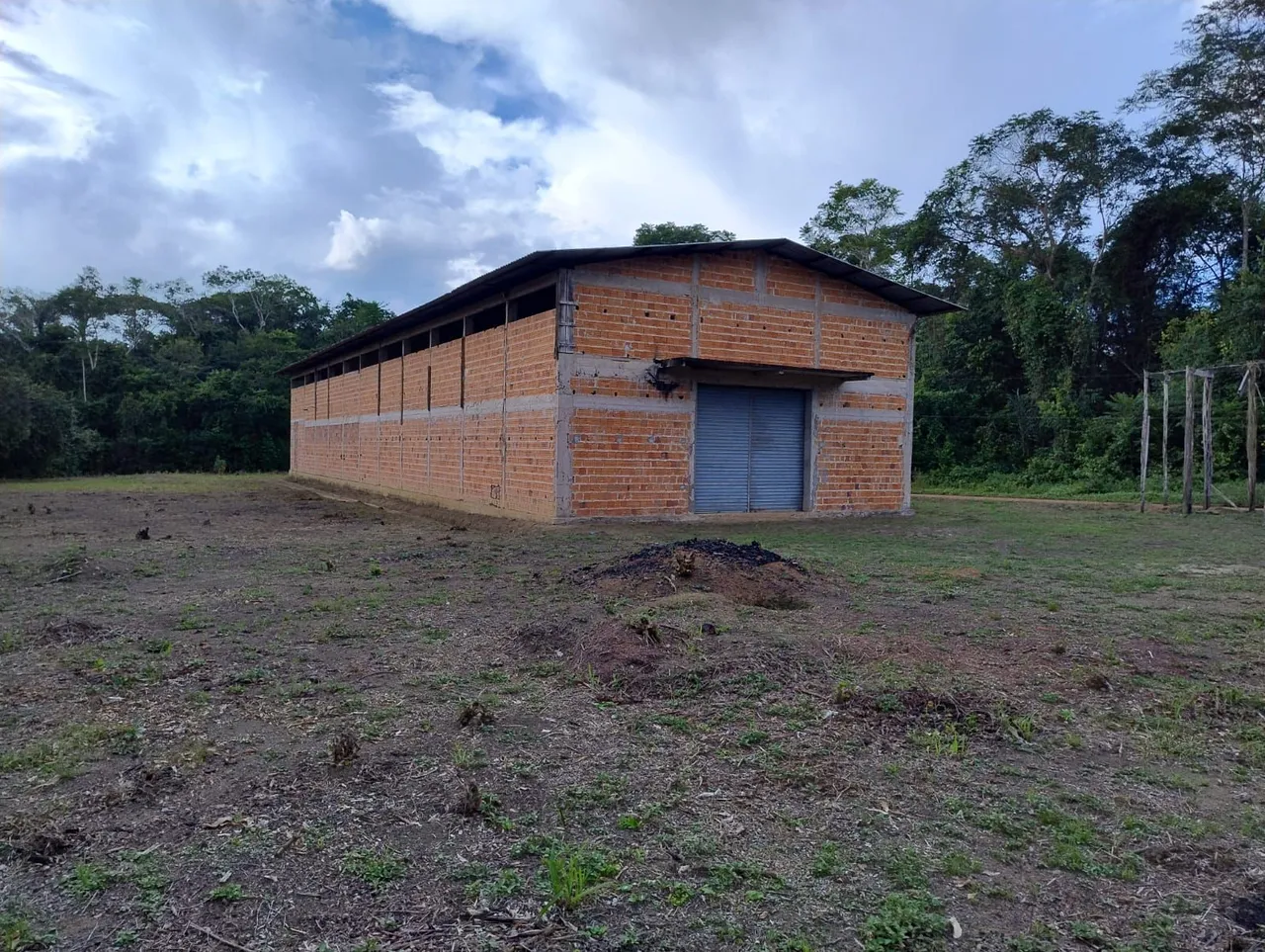 Vendo terreno com galpão em Maués