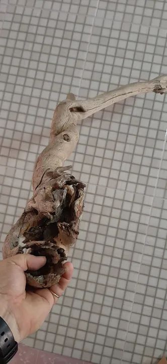 Raiz para hardscape - Foto 4