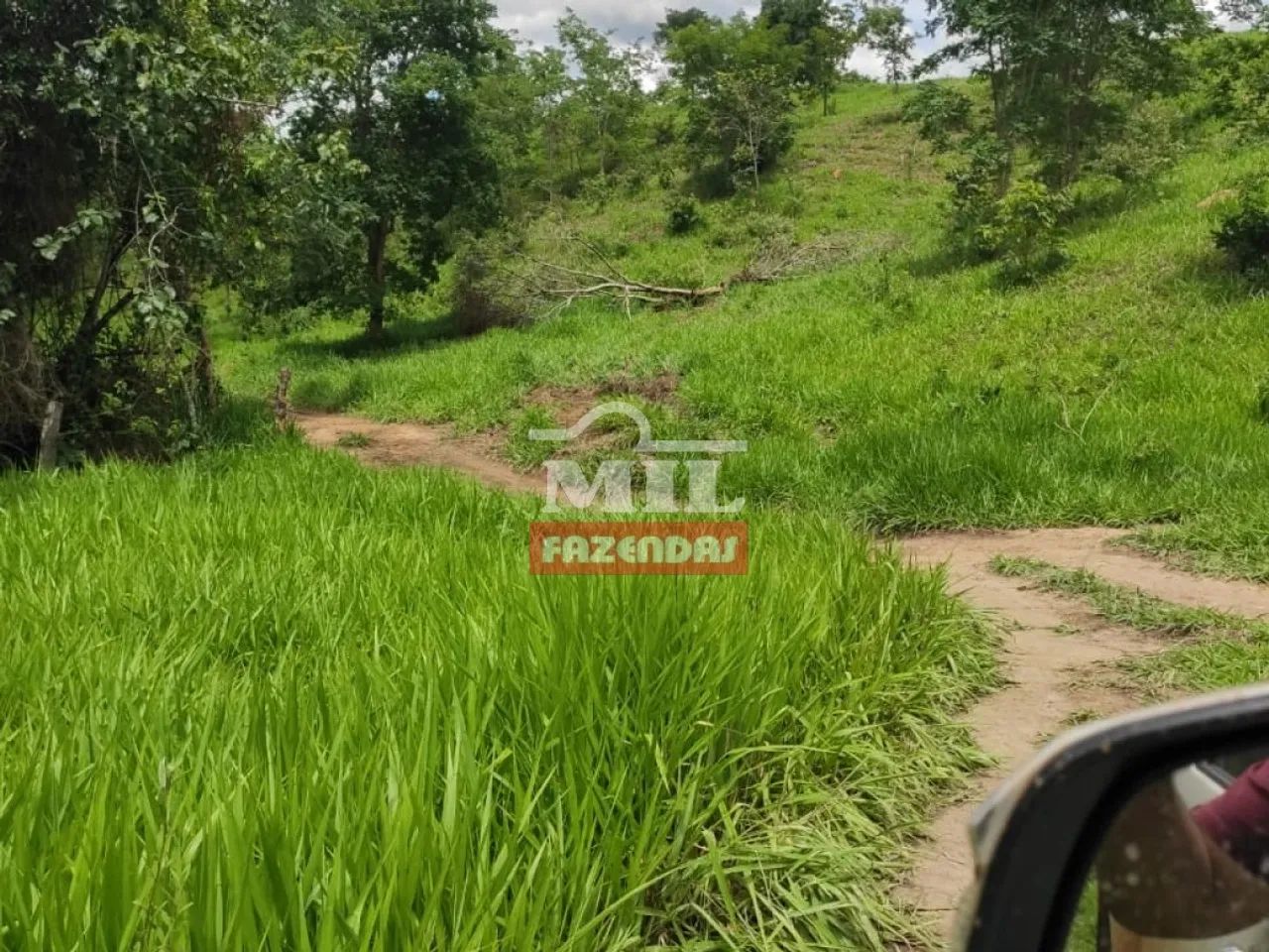 Fazenda de 100 alqueires (484 hectares) em Pires do Rio - GO - Foto 2