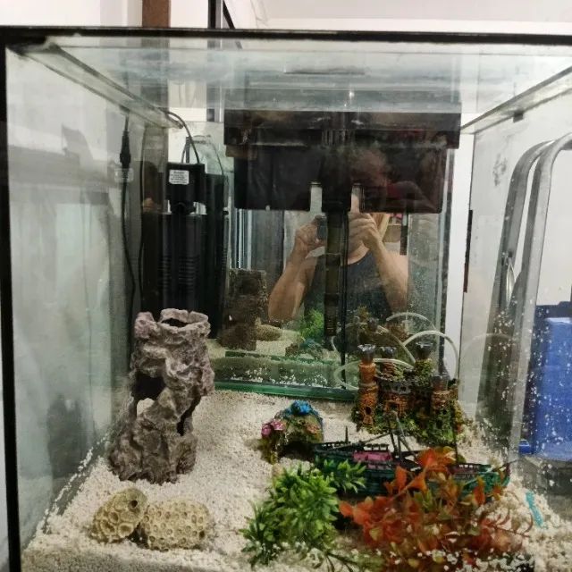  Vendo Aquário 50 X 50 X 50 - 125 Litros - Foto 5