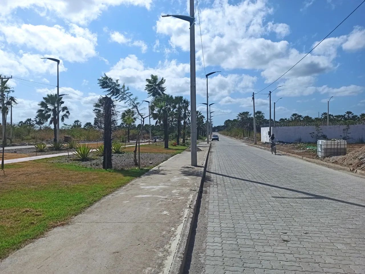 Lotes Mãe rainha por trás dos condominios pétalas e buques - Foto 8