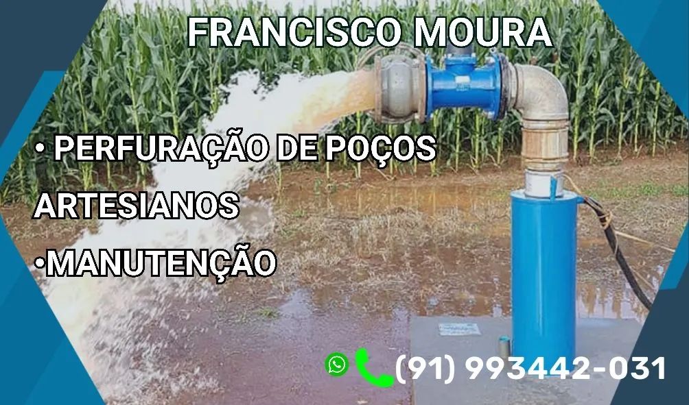 POÇOS ARTESIANOS