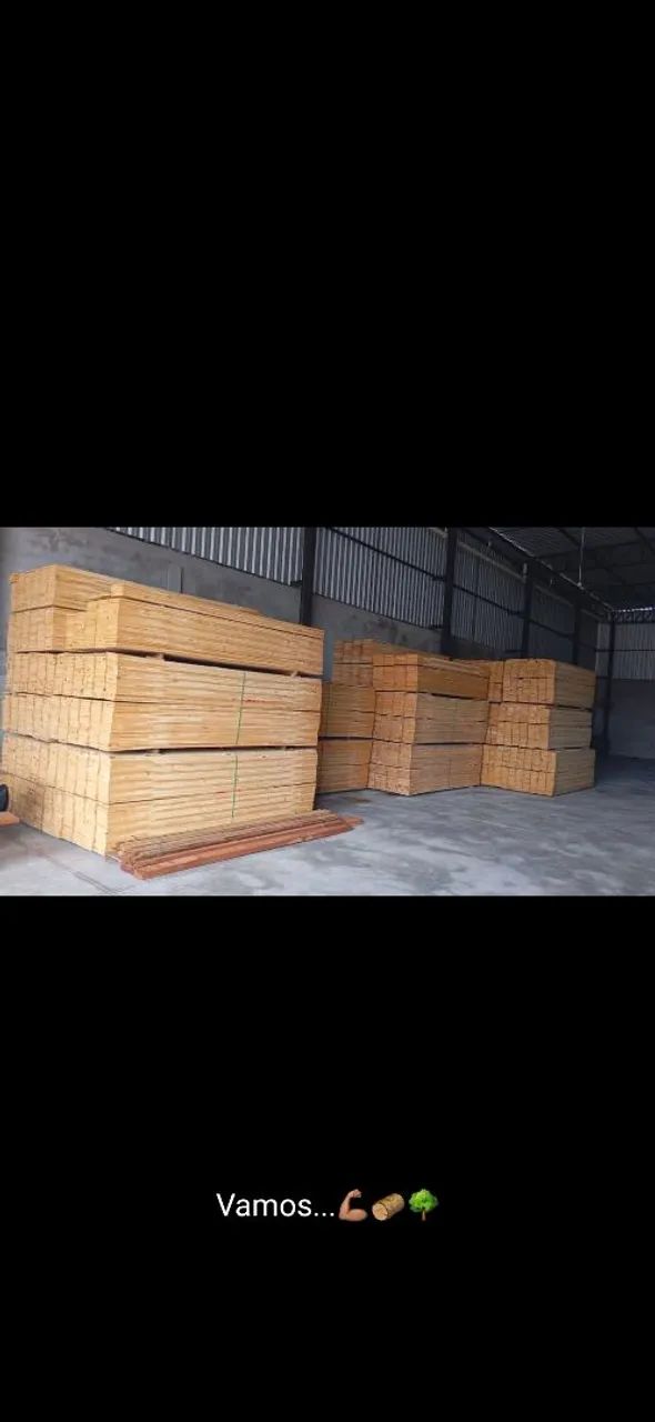 Tábuas de Pinus para diversos fins! - Foto 3