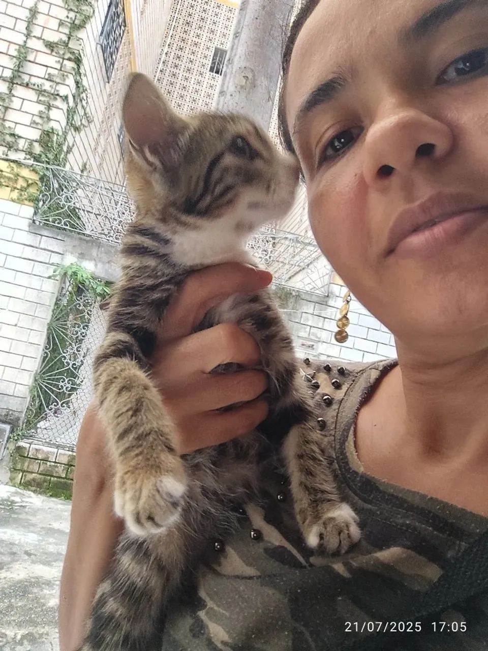 Gatinhos fofos para adoção - Foto 5