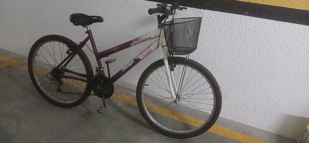 Bicicleta de marcha