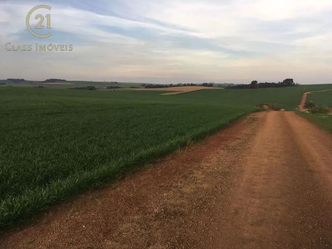 Sítio à venda em Marilândia do Sul, Centro, com 200 m² - Foto 2