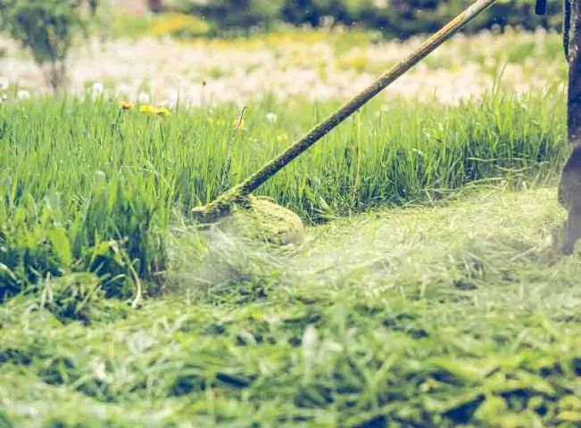 Poda, capina e limpeza de terreno ou quintal