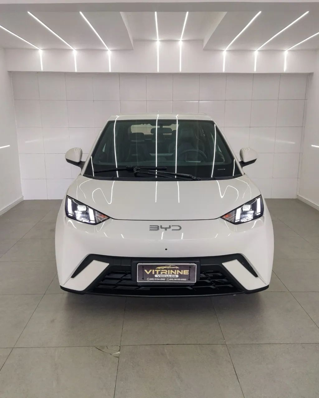 BYD Dolphin Mini (Elétrico) 2025 - Foto 2