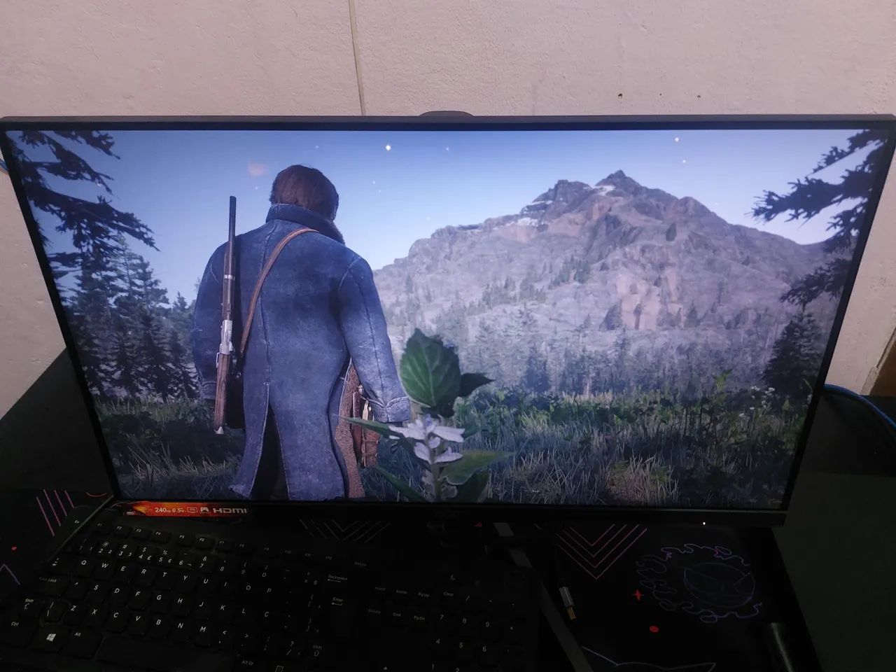 Monitor Aoc Destiny 240hz
