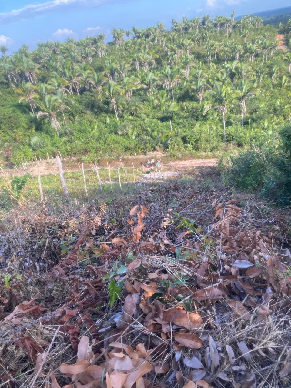Vende-se lote  - Foto 4