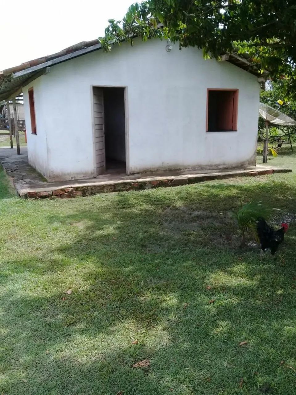 VENDO FAZENDA.   - Foto 2