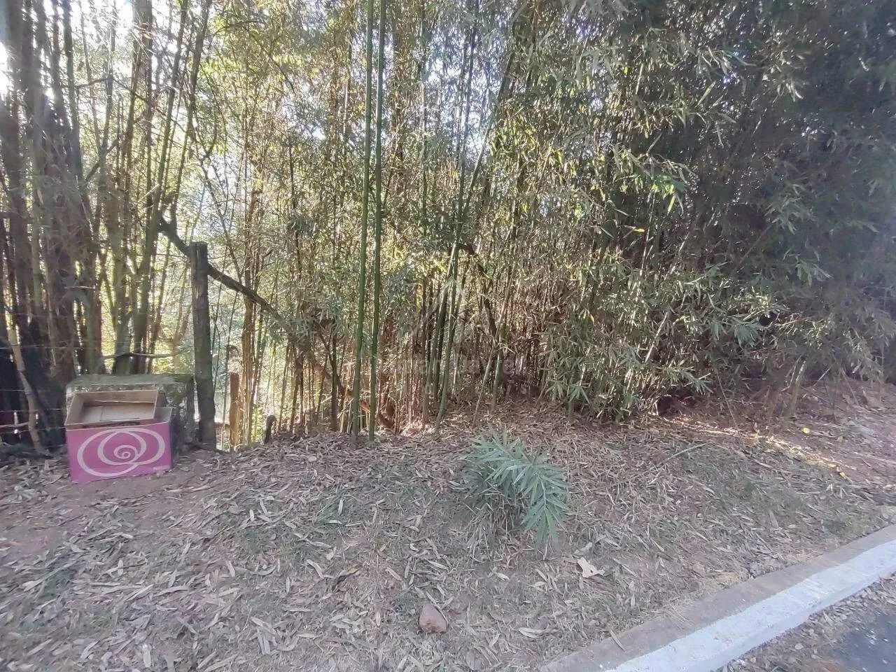 Lote em condomínio Vila del Rey anexo - Foto 3