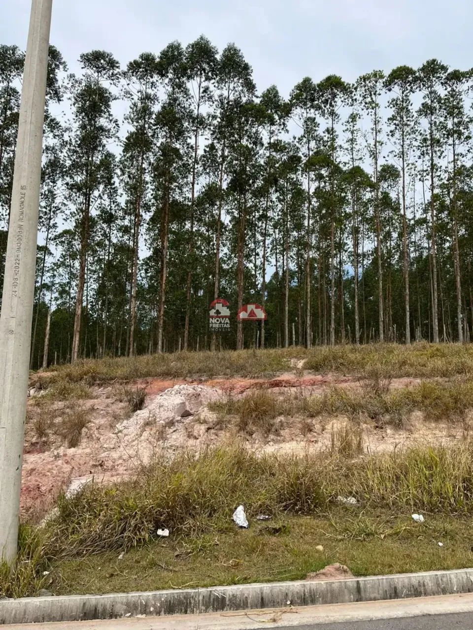 Terreno à Venda no Bairro Vila Amélia em São José dos Campos - SP - Foto 6