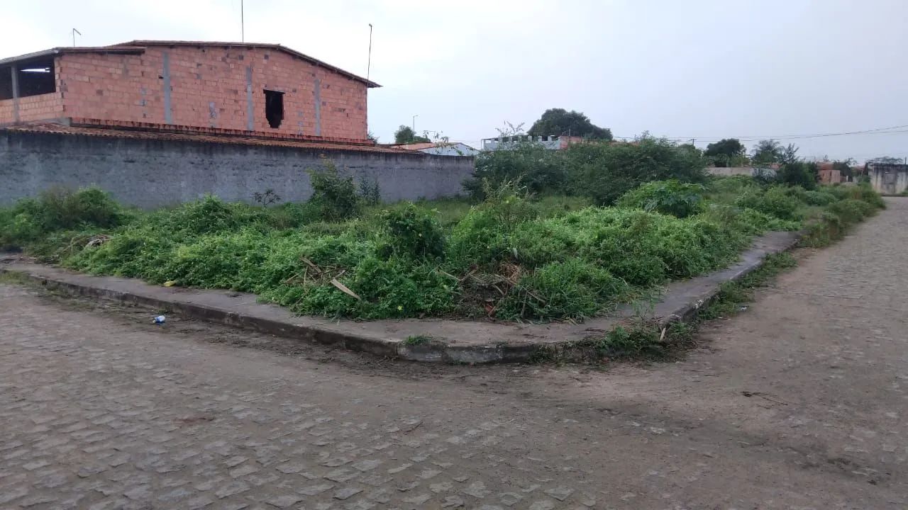 Vendo-se - Foto 4