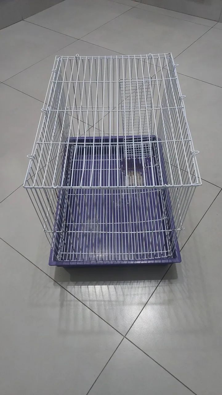 Gaiola Pássaro  - Foto 2