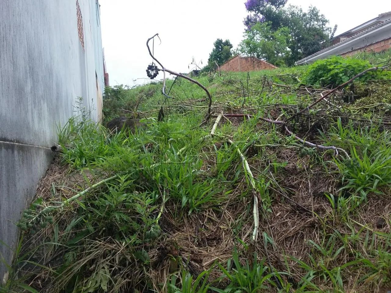 Terrenos Padrão em Poços de Caldas - Foto 4