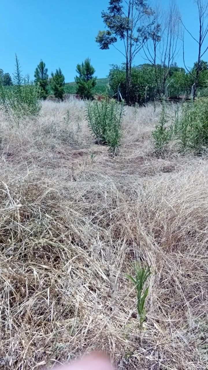 TERRENO EM AQUIDABAN - Foto 3