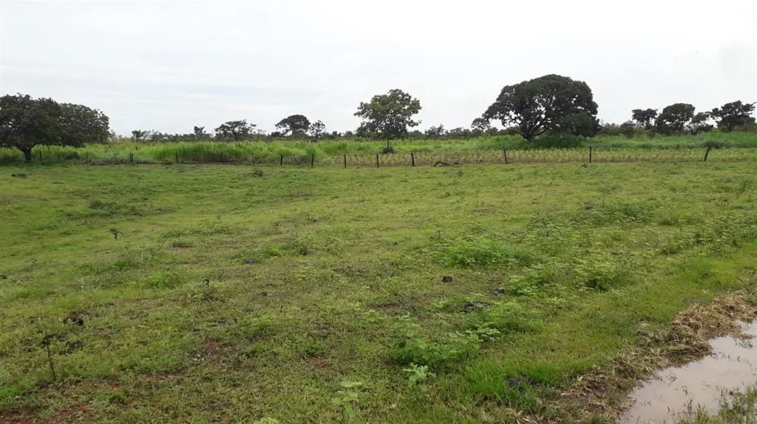 Fazenda - Chácara 4 quartos