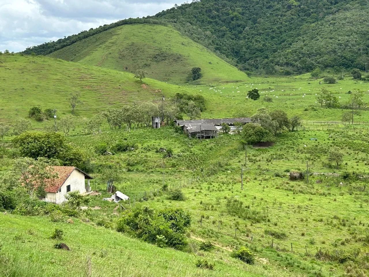 Topografia/cercas e limpeza - Foto 2