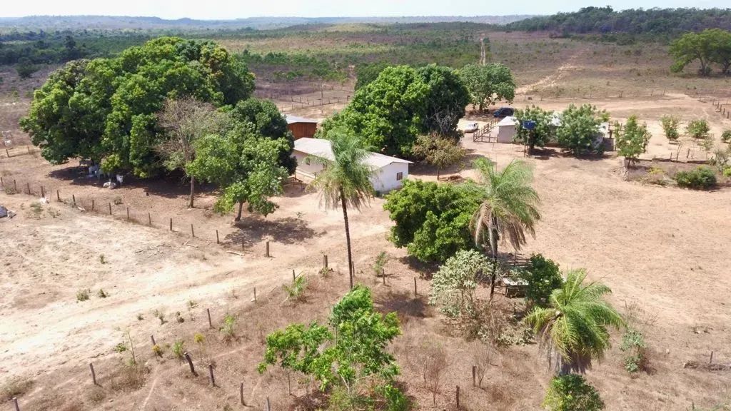 Fazenda a venda em  - Goiatins - Tocantins - Foto 5