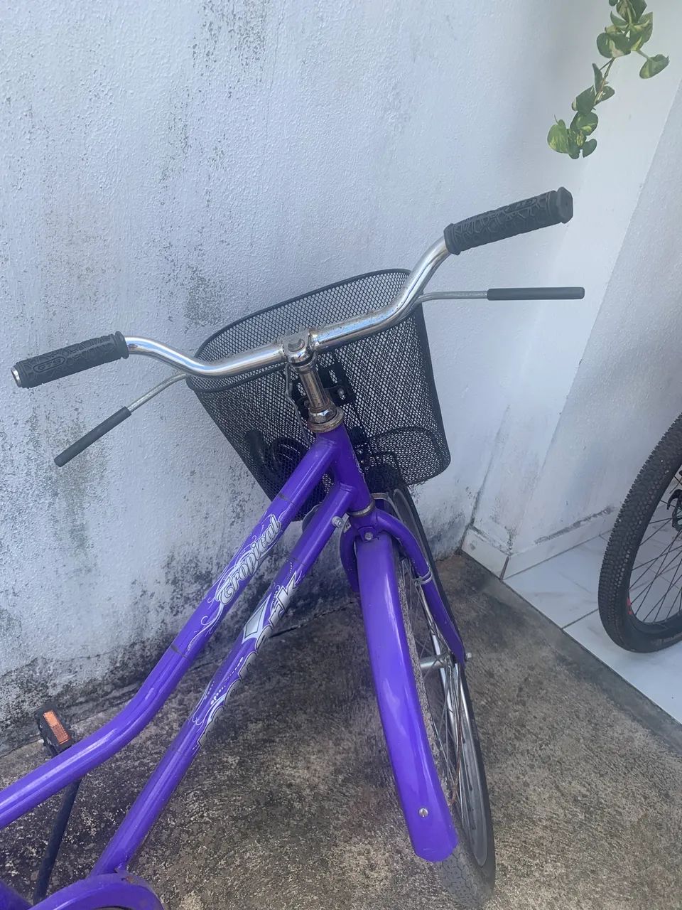 Bike tropical original  - Foto 5