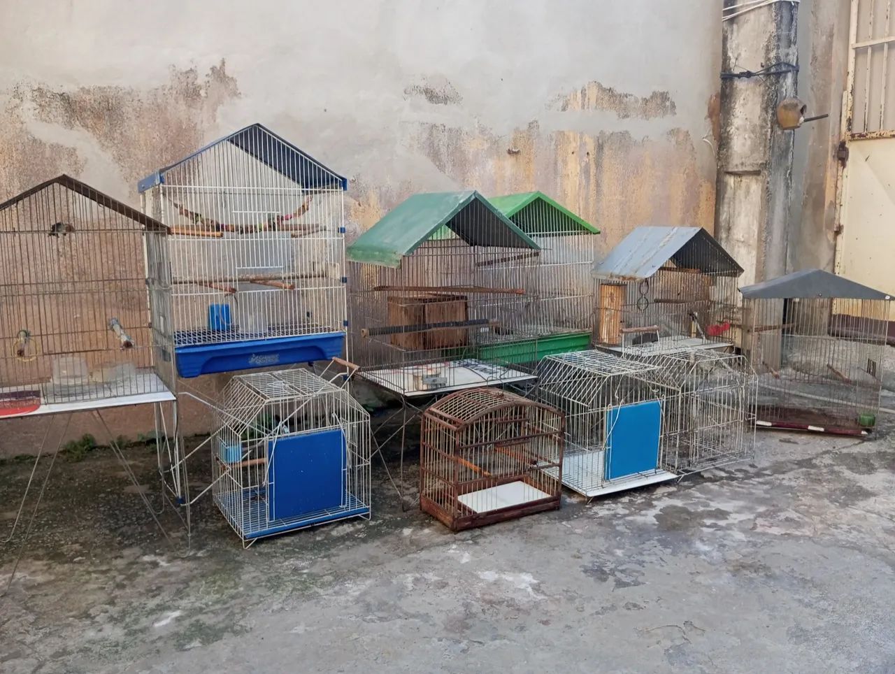 Vendo 6 viveiros e três gaiolas em ótimo estado  - Foto 3