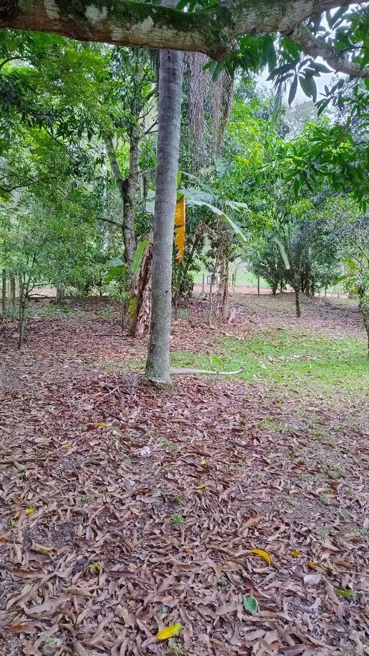 Chacara  - Foto 4