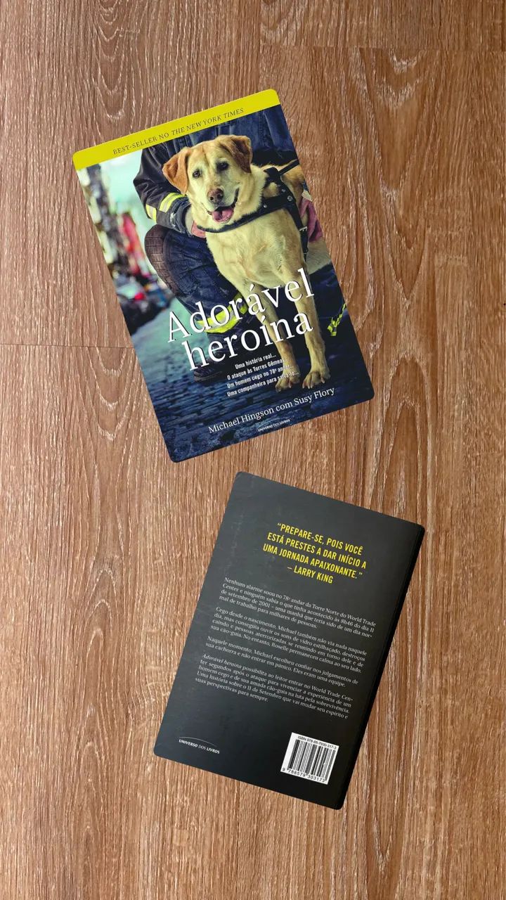 Livro: Adorável Heroína  - Foto 5