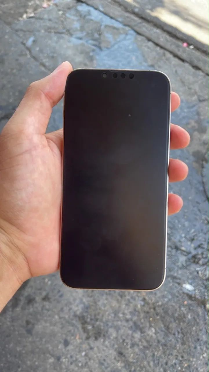 vende-se 13 pro max - Foto 3