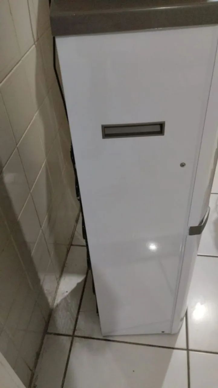 Gelagua de pé  - Foto 3