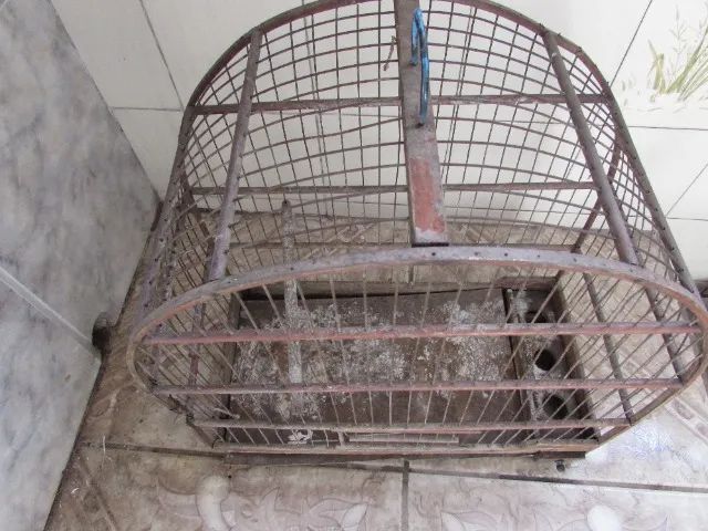 Gaiola - Foto 2