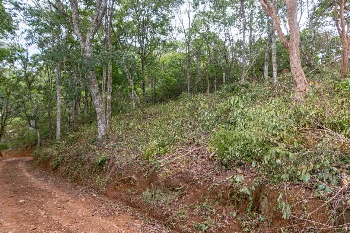 Terreno 625m2 no Costinha