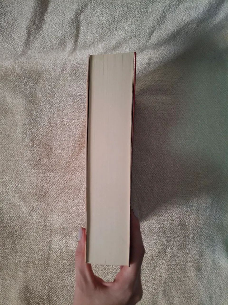 Cidade da lua crescente acotar livro - Foto 2