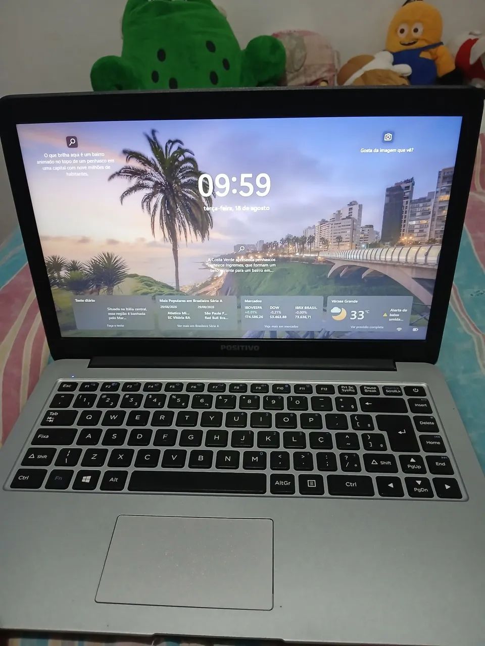 Notebook positivo 
