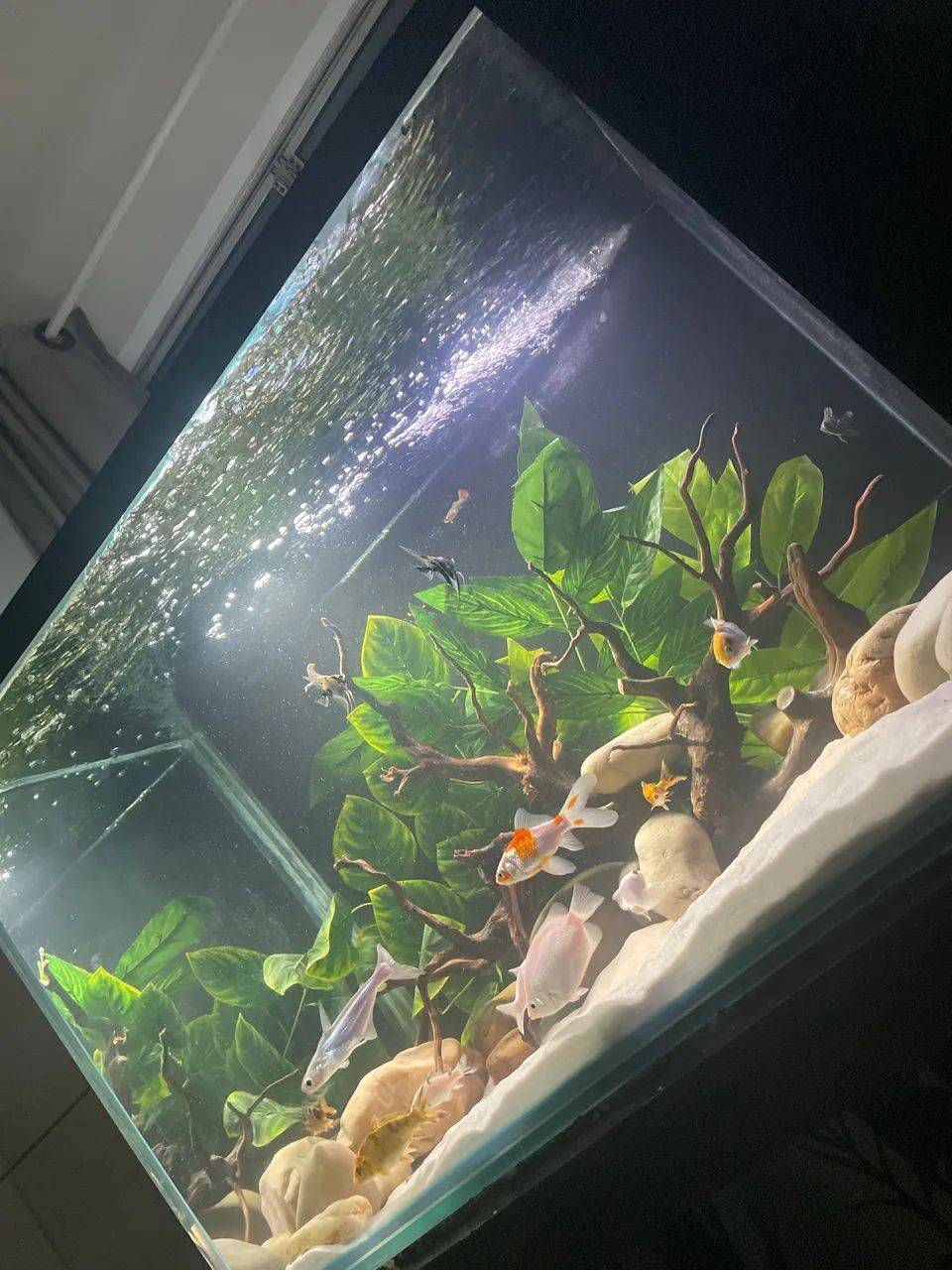 Aquário 360L - Foto 2