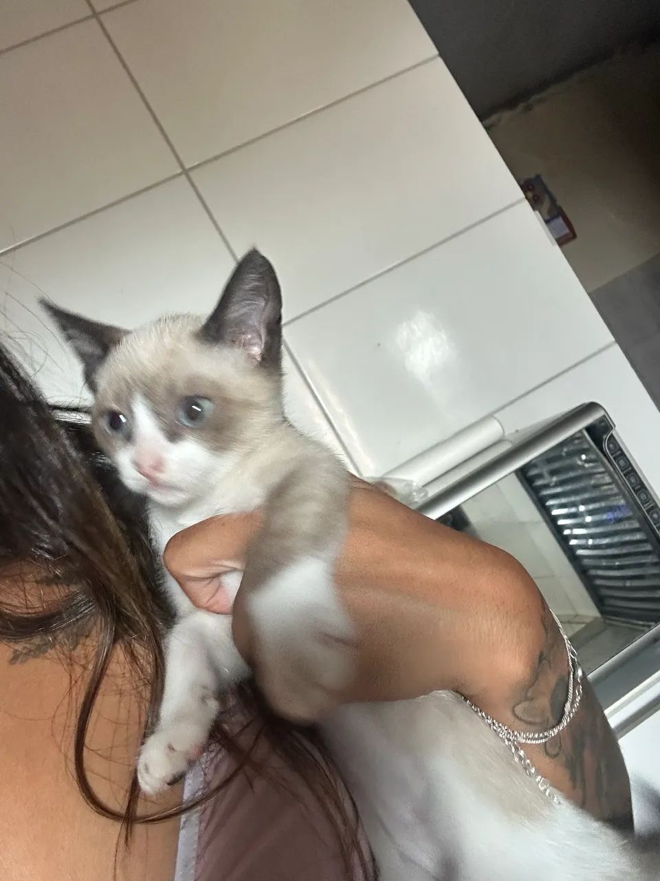 Adoção Responsável de Gatinha Filhote  - Foto 2