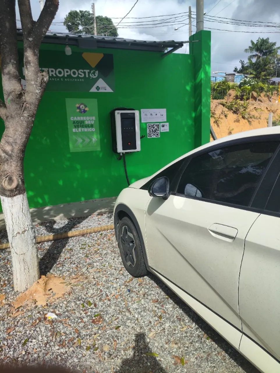 BYD Dolphin EV (Elétrico) 2024 - Foto 4