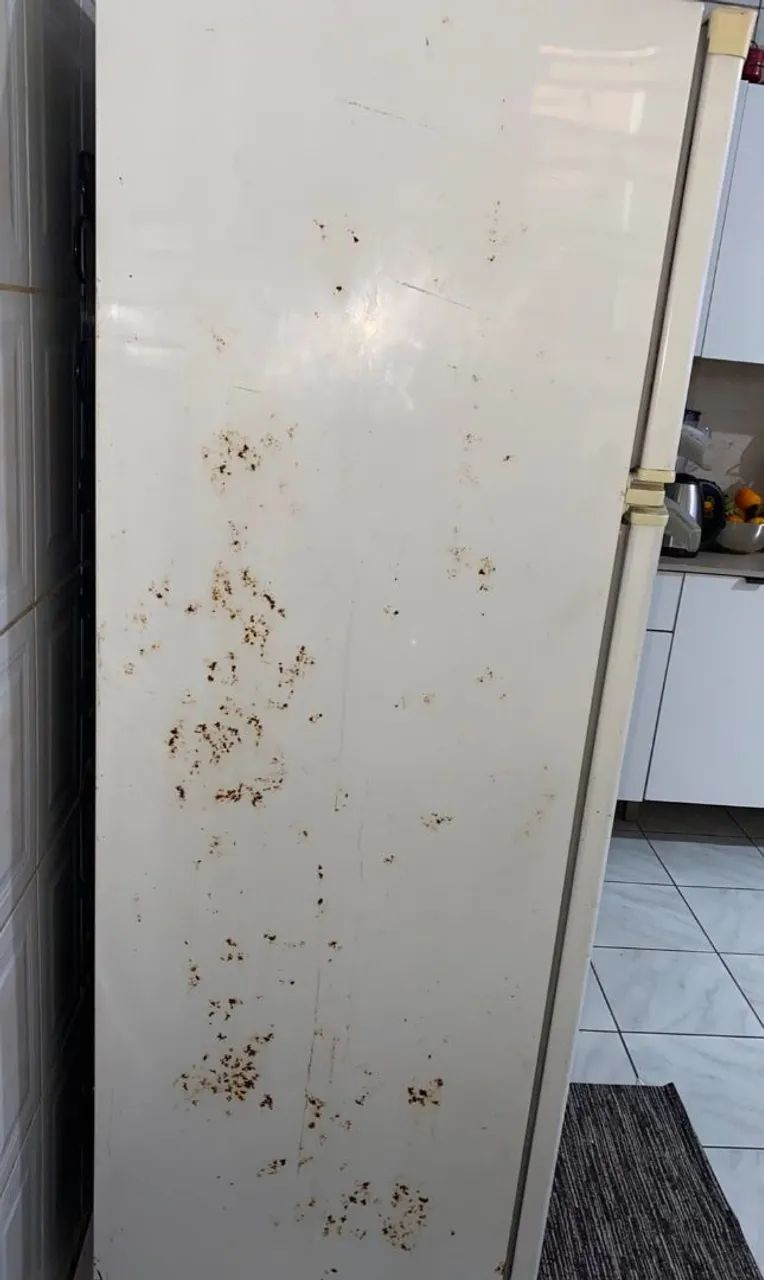Geladeira Electrolux 332 litros - Foto 2