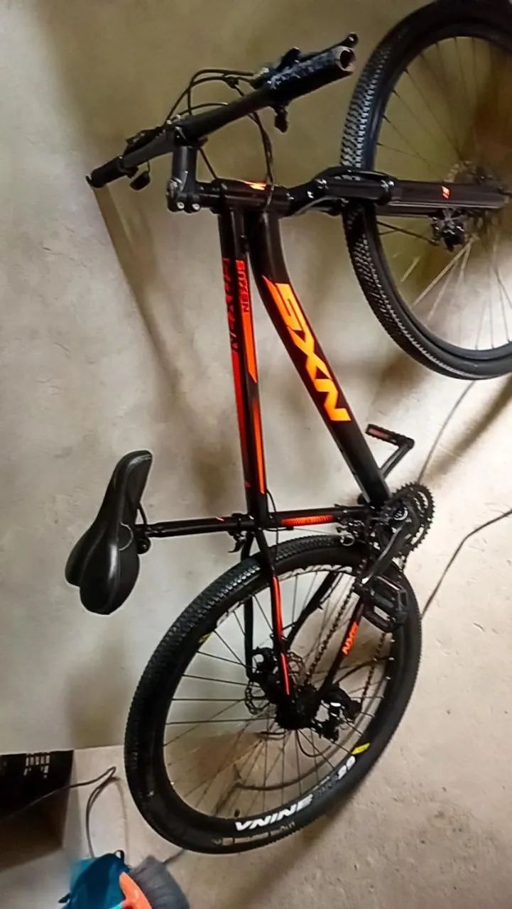 Aro29