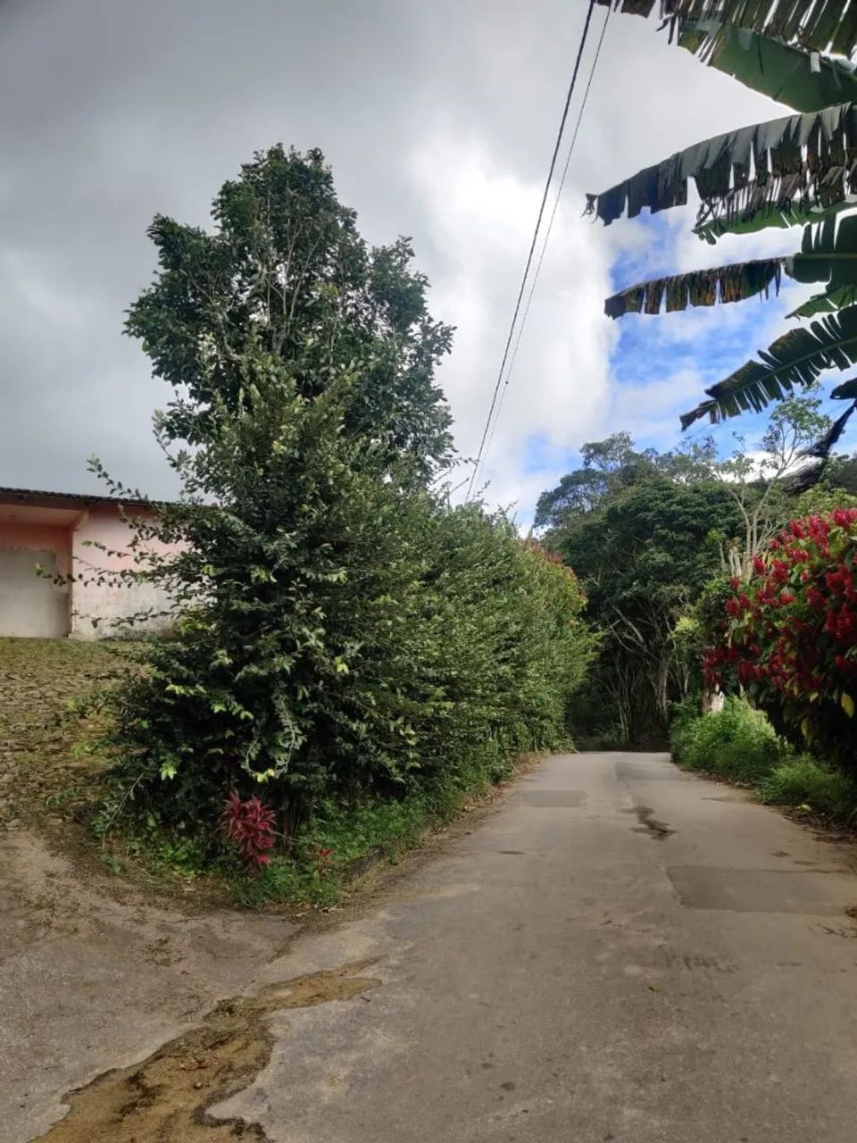 Sítio com casa