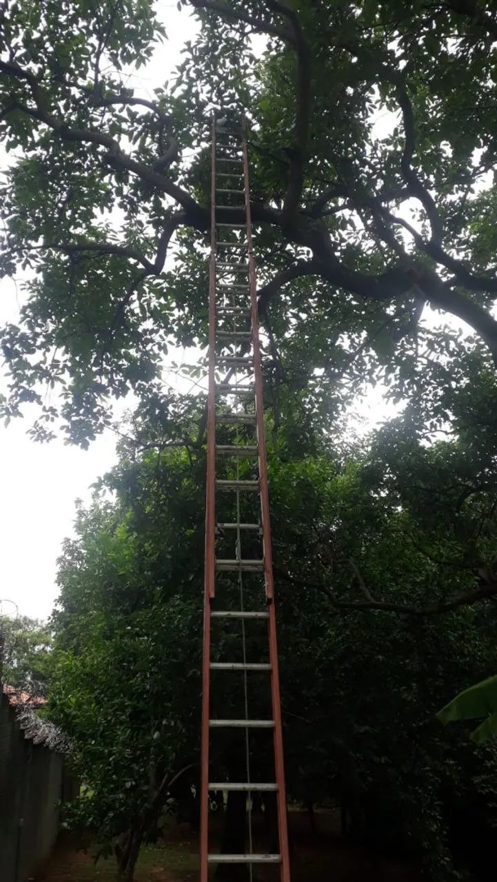 Roçagem e paisagismo  - Foto 3