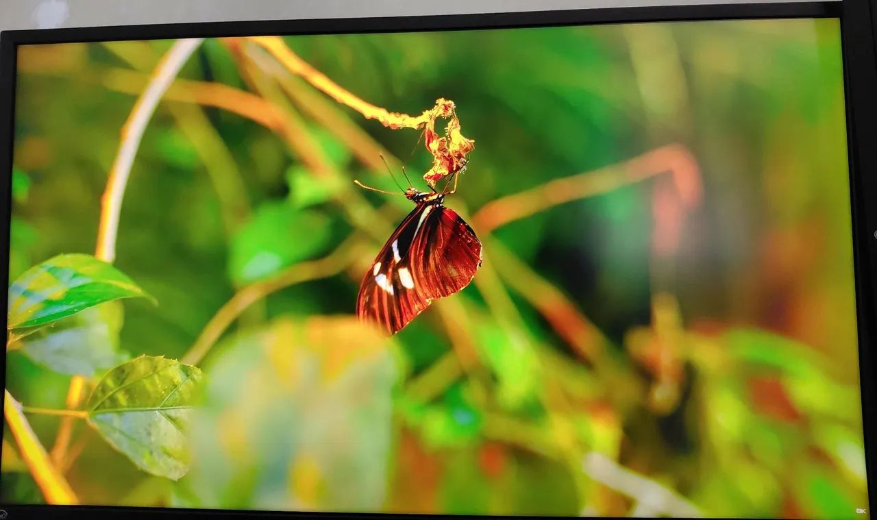 Monitor LG 4k 32" Modelo 32UD59