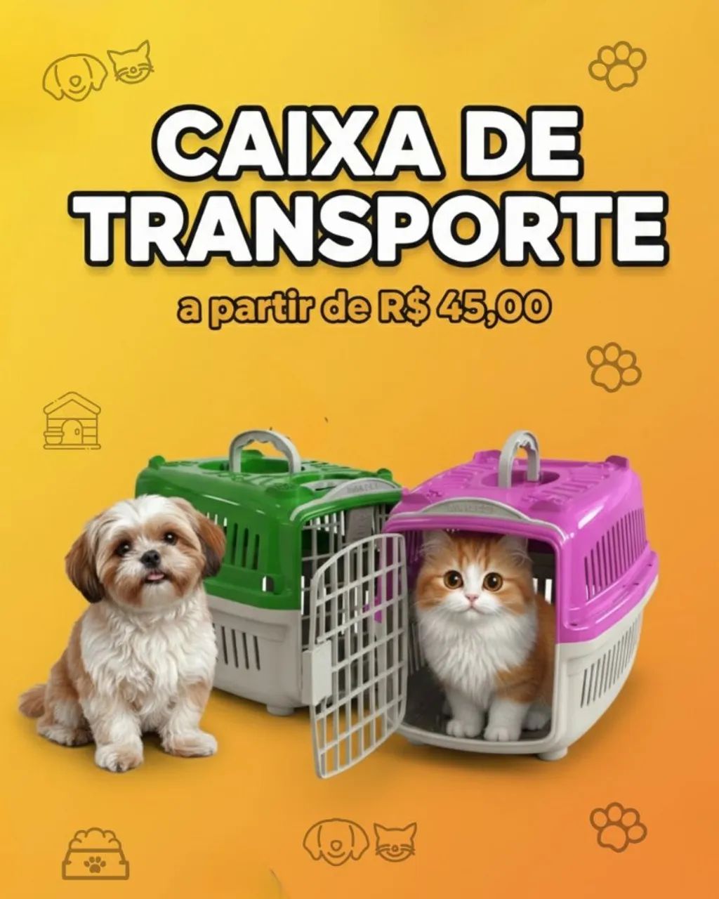 Caixa de transporte número 1