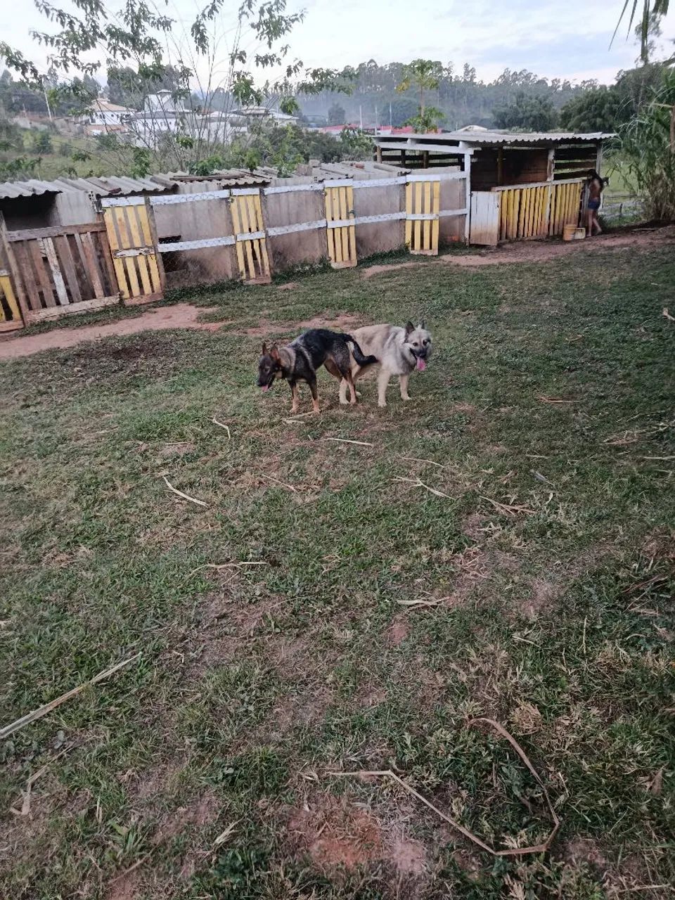 Vende se - Foto 3