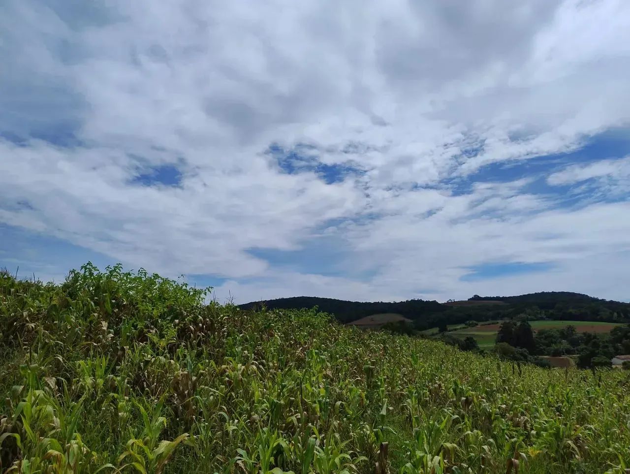 Terrenos em Pré-Lançamento em Ibiúna com Grande Aproveitamento - Foto 9